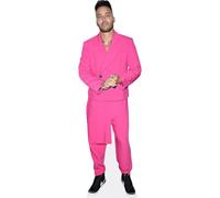 Prince Royce (Pink) mini formato