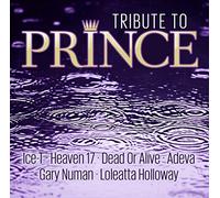 Prince - Tribute To Prince