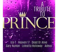 PRINCE =TRIBUTE= - TRIBUTE TO PRINCE