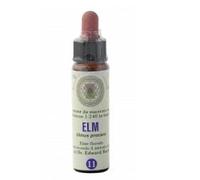 Princeps FIORI BACH 11 OLMO CLASSICO GTT 10 ML