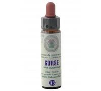 Princeps FIORI BACH 13 GINE CLASSICO GTT 10 ML