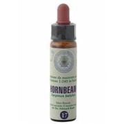 Princeps FIORI BACH 17 CARP CLASSICO GTT 10 ML