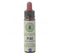 Princeps FIORI BACH 24 PINO CLASSICO GTT 10 ML