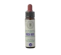 Princeps FIORI BACH 26 ELIA CLASSICO GTT 10 ML