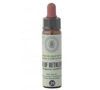 Princeps FIORI BACH 29 STEL CLASSICO GTT 10 ML