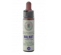 Princeps FIORI BACH 33 NOCE CLASSICO GTT 10 ML