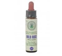 Princeps FIORI BACH 37 ROSA CLASSICO GTT 10 ML