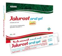 Princeps Jalurost - Princeps gel all'acido ialuronico per le vie urinarie, 15 bustine da 15 ml