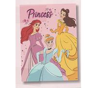 Princess, Morbido e Caldo Plaid, Coperta Plaid Divano Per Bambini, Coperta Letto Singolo, Marvel, Disney, 100x150 cm