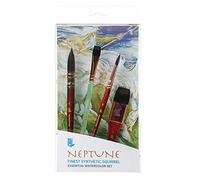 Princeton Art & Brush Neptune Syn Sh Essential, Set da 4 pezzi