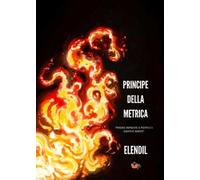 Principe della metrica. «Poesie ispirate a Neffa e i Sangue Misto»