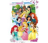 Principessa Disney - Collage Poster 24x36 - 3604
