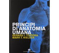 Principi di anatomia umana