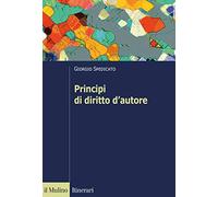 Principi di diritto d'autore