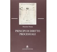 Principi di diritto processuale