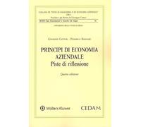 Principi Di Economia Aziendale. Piste Di Riflessione
