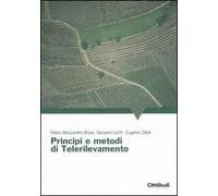 Principi e metodi di telerilevamento