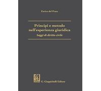 Principi e metodo nell'esperienza giuridica. Saggi di diritto civile
