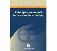 Principi e strumenti dell'economia aziendale