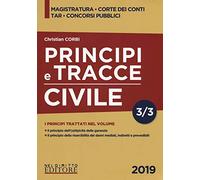 Principi e tracce. Civile (Vol. 3)