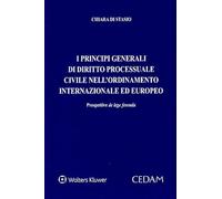Principi generali di diritto processuale civile nell'ordinamento internazionale ed europeo