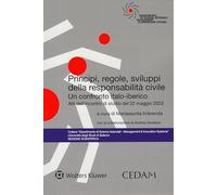 Principi, regole, sviluppi della responsabilità civile