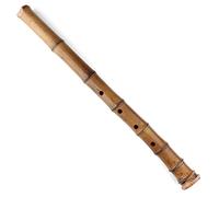 Principiante Flauto di Bambù Strumenti Musicali In Legno Con Chiave D A 5 Fori Flauto Verticale In Bambù Di Nuovo Arrivo Con Borsa Strumento A Fiato Flauto dizi in bambù