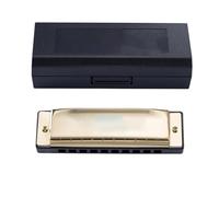 Principianti Armonica Armonica A Bocca A 10 Fori Per Principianti Strumento Per Imparare Il Blues Suonatore Di Blues Pratica(Metallic)