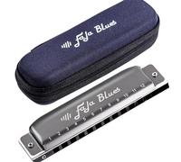 principianti armonica Armonica A Bocca Blues 12 Fori Professionale Blues Pettine In ABS(B)