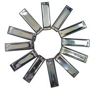 Principianti Armonica Armonica A Bocca Diatonica Blues A 10 Fori(Sliver Color bD Key)