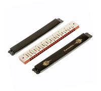 principianti armonica Armonica A Bocca Tremolo A 24 Fori Chiave Di Armonica A Bocca Tremolo In C Per Professionisti Adulti Con Scatola In Pelle(Dm)