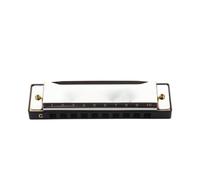 principianti armonica Armonica Blues A 10 Fori Armonica Per Strumenti Folk Per Adulti Blues 10 Fori(Silver)
