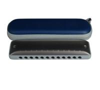 Principianti Armonica Armonica Diatonica A 12 Fori Tipo Di Strumento Per Principianti Musica Folk Pianoforte Classico