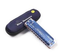 principianti armonica Armonica Diatonica Armonica Blues A 10 Fori Blu Con Custodia Armonica Professionale Per Adulti Principianti(F-rising)