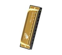 principianti armonica Armonica Diatonica Blues Chiave Di C Blues Harp Armonica A Bocca 10 Fori Con Custodia Blu Standard(Gold)