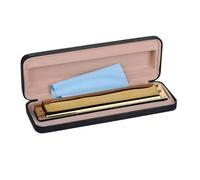 principianti armonica Armonica Polifonica A 24 Fori Per Principianti Adulti Argento Oro(Gold)