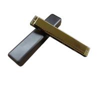 Principianti Armonica Armonica Polifonica In Do A 24 Fori Per Principianti Che Vogliono Imparare A Suonare Gli Strumenti A Fiato(Gold)