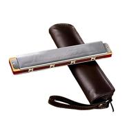 principianti armonica Armonica Tremolo A 24 Fori Polifonia Diatonica Chiave C Armonica Professionale A 24 Fori Principianti Adulti(C)