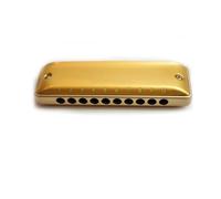 principianti armonica Foro Tondo Armonica Diatonica A 10 Fori Pettine In Plastica In Alluminio Accordatura Maggiore Naturale Minore(Golden)