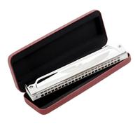 principianti armonica Strumento Polifonico Per Adulti Ad Ancia Armonica A 24 Fori(D tone)