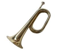 Principianti Che Suonano La Tromba Tromba A Passo Grande Tromba Da Banda