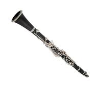 Principianti Clarinetto Clarinetto B-flat Tune Professional Instruments Clarinetto Nero A 17 Tasti Resistente E Con Un Suono Ricco