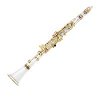 principianti Clarinetto Clarinetto B-tune trasparente ad alte prestazioni Clarinetto in cristallo Bb-tune Clarinetto B-tune con corpo in vetro Strumenti a fiato
