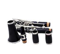 principianti Clarinetto Clarinetto In Si Bemolle Adatto Per Prestazioni Professionali Principianti Grado Test Pulsante Rame Bianco Clarinetto A Fiato Strumenti a fiato
