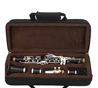 principianti Clarinetto New Eb 17 Keys Clarinetto Professionale Clarinetto In Legno Di Ebano Tasto Mi Bemolle Placcato Argento Per Prestazioni Di Gioco Strumenti a fiato (Color : Light Grey)