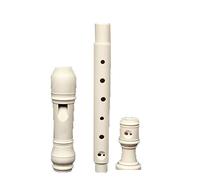 principianti flauto dolce Strumento musicale per studenti con accordatura in Do acuto Flauto dolce a otto buche per principianti professionale generale (Color : 02)