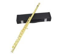 Principianti Flauto Flauto Chiuso A 16 Fori In Do Maggiore Concerto(2)