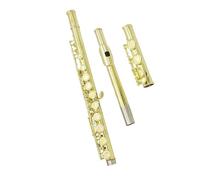 Principianti Flauto Flauto traverso in Do a 16 fori con chiave in Mi tubo in ottone a foro chiuso con custodia musicale