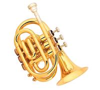 Principianti Mini Pocket Trumpet Corpo In Ottone Laccato Oro Pocket Trumpet Bb Tone Ottone Strumento Adatto Ai Principianti Tromba tascabile
