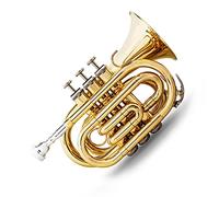 Principianti Mini Pocket Trumpet Mini Tromba Tascabile In Sib Bemolle In Ottone Strumento A Fiato Tromba Da Viaggio Finitura Laccata Di Qualità Con Bocchino Tromba tascabile